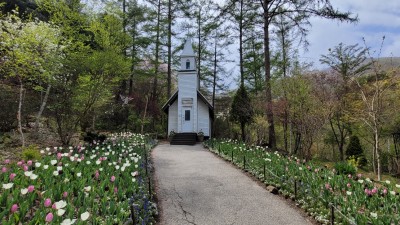 향기 담은 항아리  사랑이란